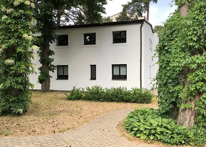 Vienibas Studio